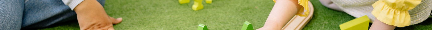 Brain Development Games (0-6 yrs old)