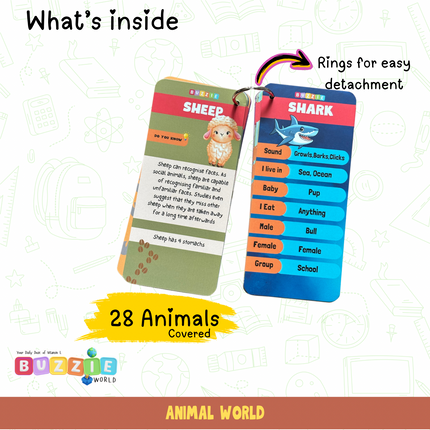 Animal World