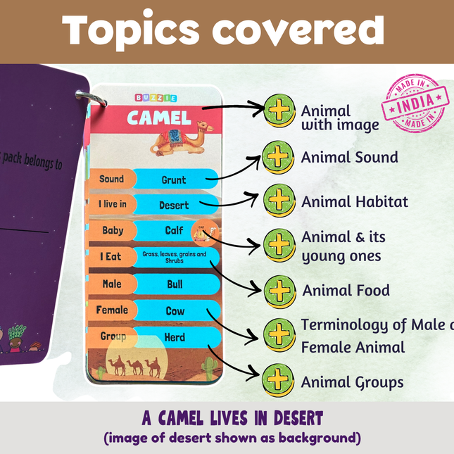 Educational animal activity cards for children