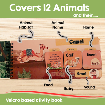 Educational animal habitat busy book by BuzzieWorld