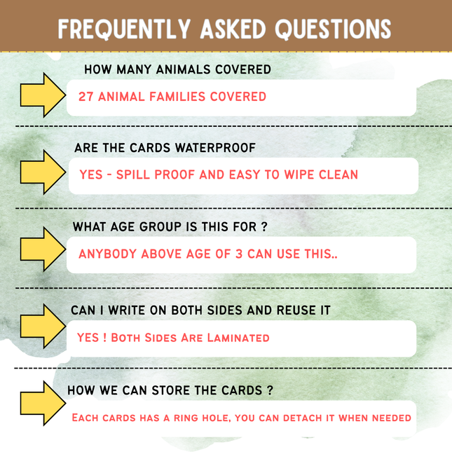 Fun animal knowledge game for children