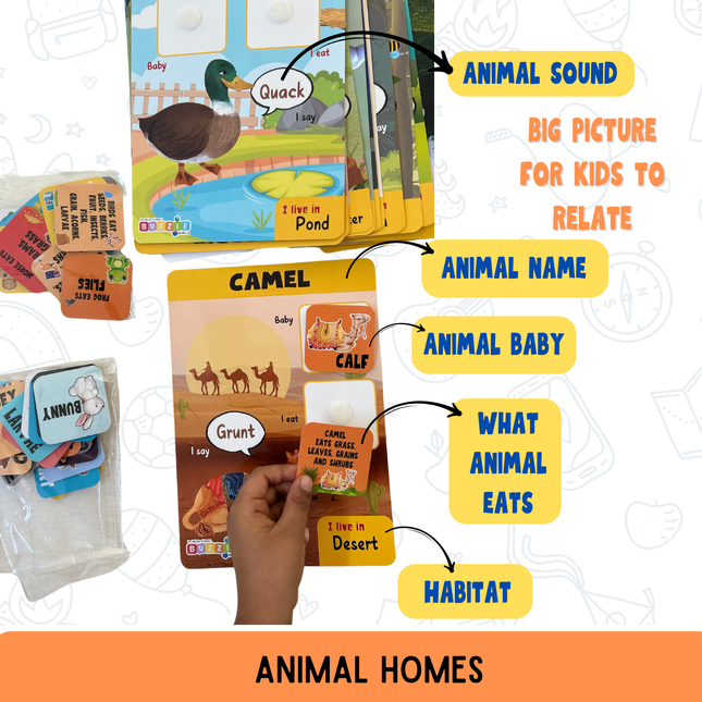 Interactive animal homes activity game by BuzzieWorld