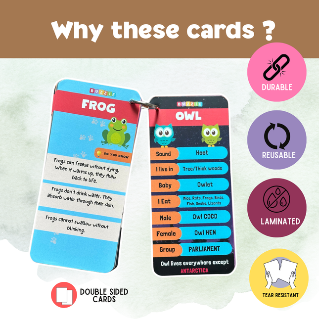 Preschool animal exploration activity cards