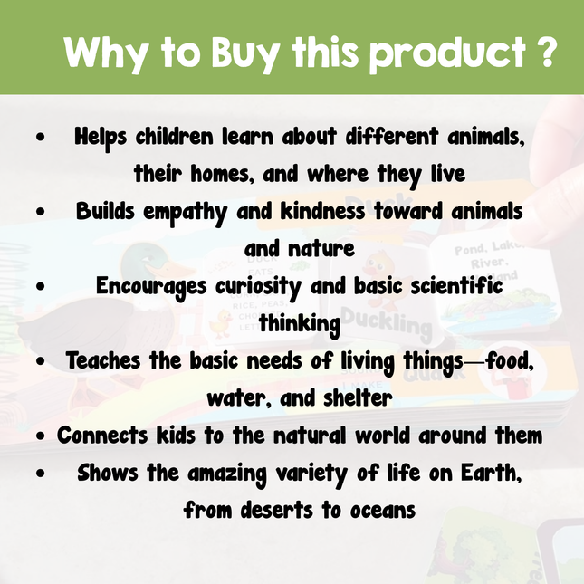 Travel-friendly Animal Homes educational activity book for children