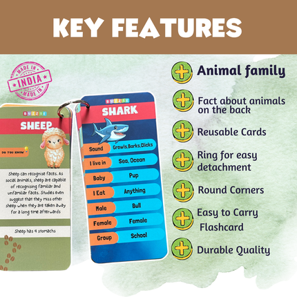 Kids wildlife and habitat learning activity set